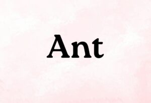 Weiblicher Vorname mit 5 Buchstaben beginnend mit Ant